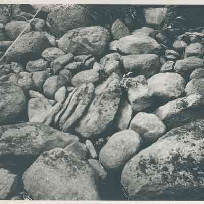 Surveyor's Picture of Rocks