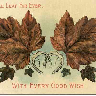 The Maple Leaf For Ever With Every Good Wish