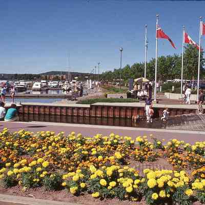 Flower, Boats, Walkway