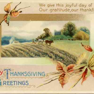 Hearty Thanksgiving Greetings