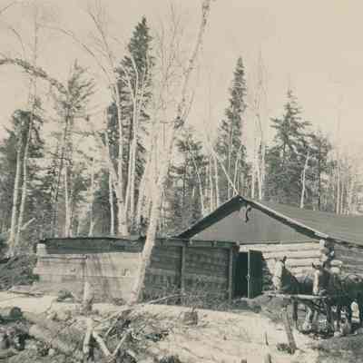 Horses in Front of Cabin