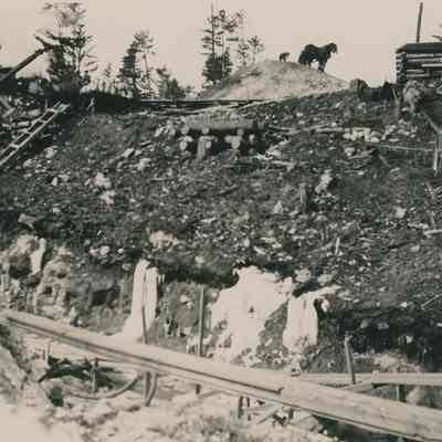 Horses on Hill