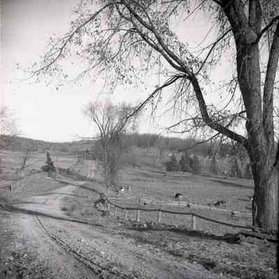 Landscape, Golf Course Road