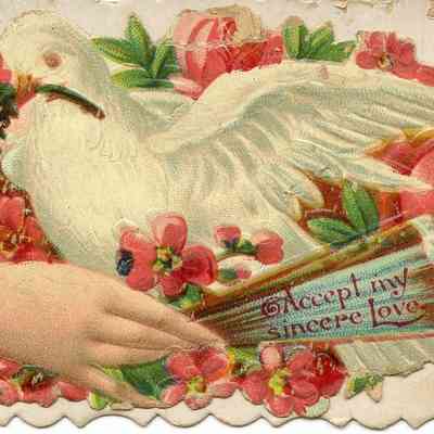 "Accept my Sincere Love" Card