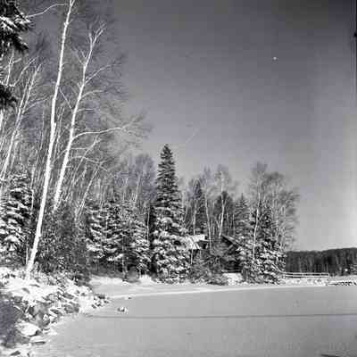 Lake Shore- Snow Covered Trees