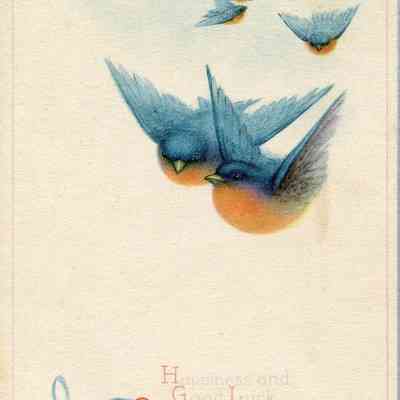 Sparrow Card