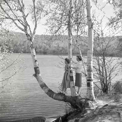 Two Woman and Birch Trees at Trout Lake