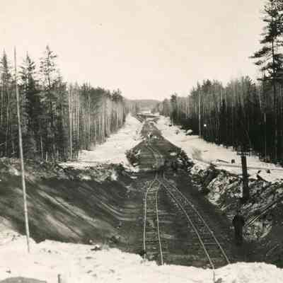 Tracks in Winter
