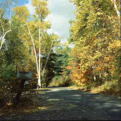 Silver Lady Lane in Autumn