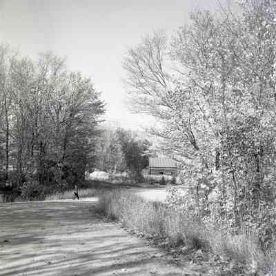 Old Feronia Road