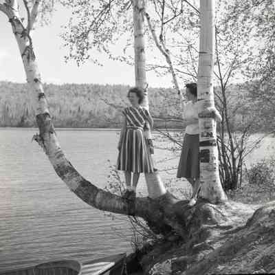 Birch Trees, and Girls at Trout Lake