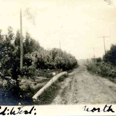 Gillivia Image