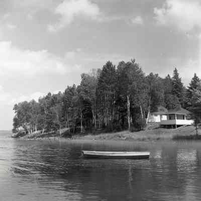 Trout Lake- Row Boat in Water