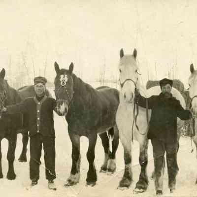 Pair of Loggers with Team of Horses