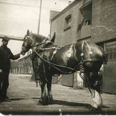 J.B. Smith & Sons Freight Horse with Reins