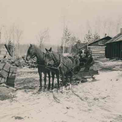 Horse Drawn Sleigh in Winter