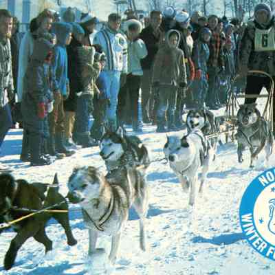 Fur Carnival Postcard