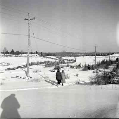 Rail Fences, Winter Scene