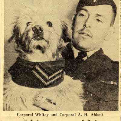It's Corporal Whitey Now; RCAF Mascot Promoted