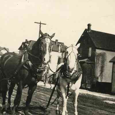 Two Buggy Horses in the Street