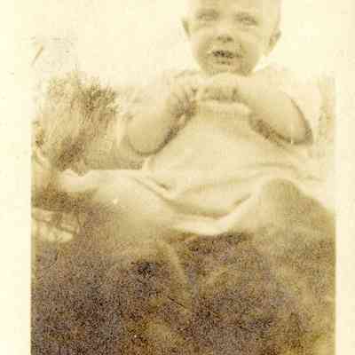 Gillivia Image