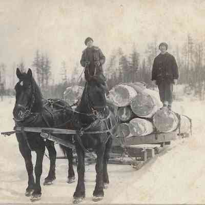 Wilsons Camp Jack River Nippis