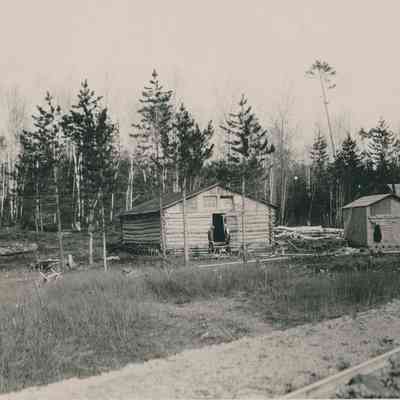 Log Cabin in Forest