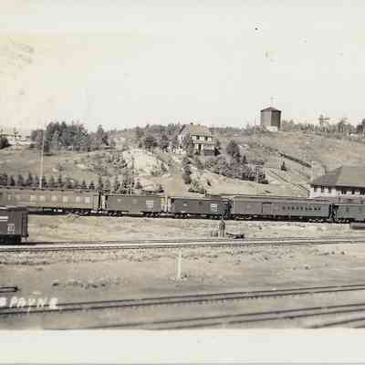 Horneprune Postcard