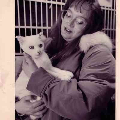 Domestic Animals