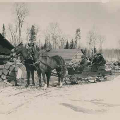 Horse Drawn Sleigh and Group