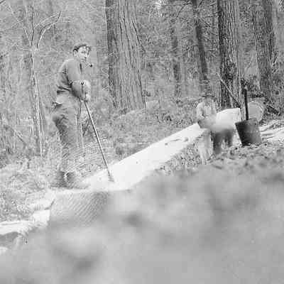 Lumberjack next to a felled tree