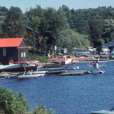 The Harbour- Trout Lake