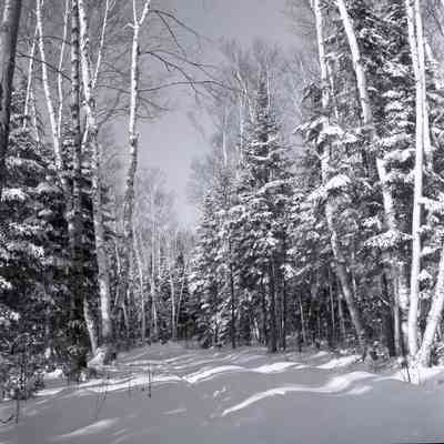 Country Road