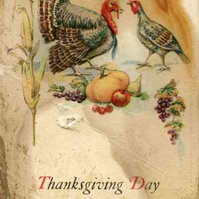 Thanksgiving Day Postcard