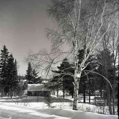 Winter Cabin- Near Cemetery