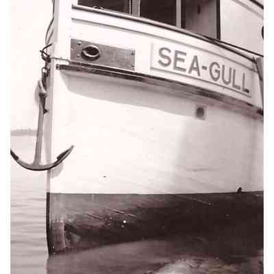 The Prow of the Sea Gull