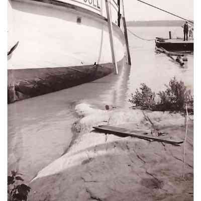 The Prow of the Sea Gull