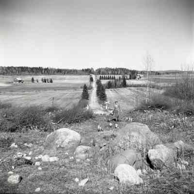 Farm, Road & Man