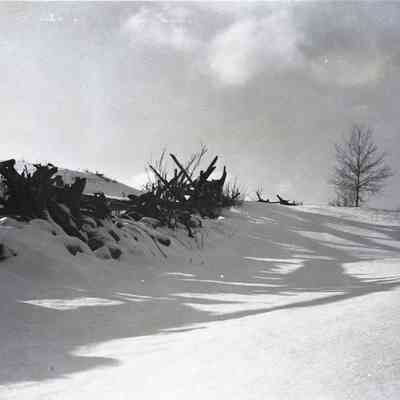 Rail Fence in Snow