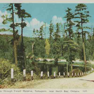 Ferguson Highway through Forest Reserve, Temagami, near North Bay, Ontario. - 10T.