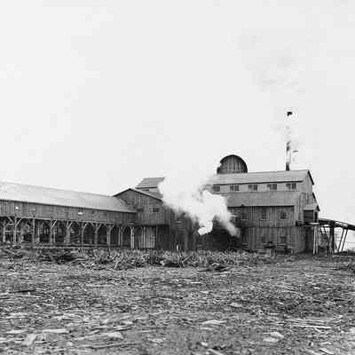 Smith's Lumber Mill
