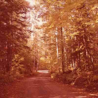 Anita Ave. In Autumn