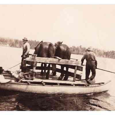 Men Ferrying Horses Across the River on Canoes