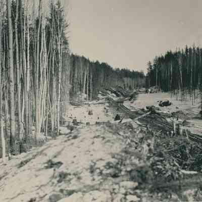 Rail Track in Woods (Winter)