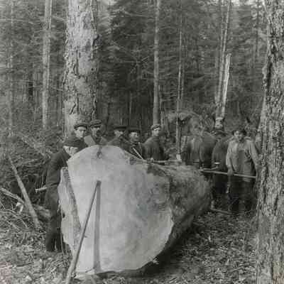 Group of Trussler Bros Logging Employees with Log