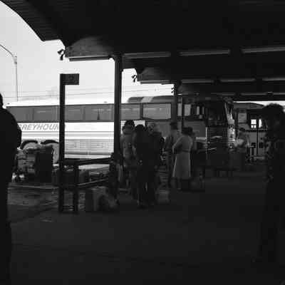 Greyhound Bus