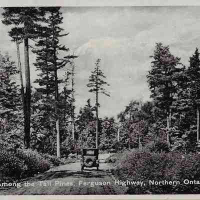 Among the Tall Pines, Ferguson Highway, Northern Ontario, Canada