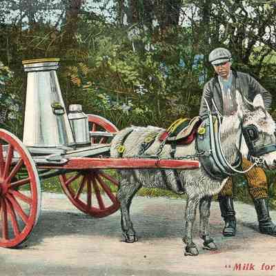 "Milk for the Creamery."