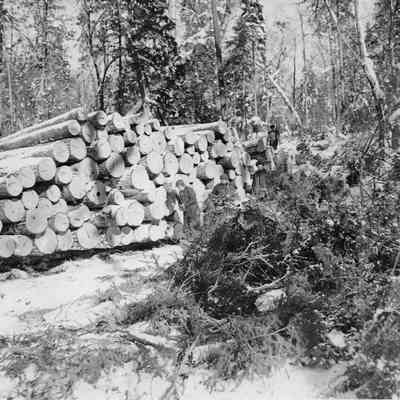 Log Piles