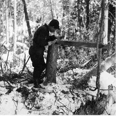 Lumberjack Sharpening Sawblade